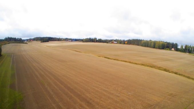 Finlandiyada kırsal.