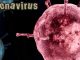 koronavirus