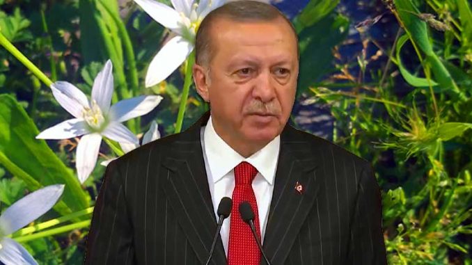 Recep Tayyip Erdoğan