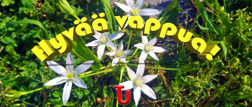 Vappu