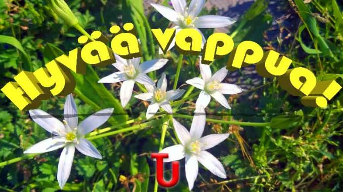 Vappu