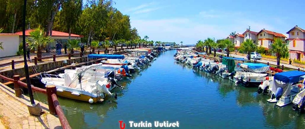 Davutlar, Kuşadası
