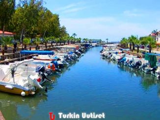 Davutlar, Kuşadası