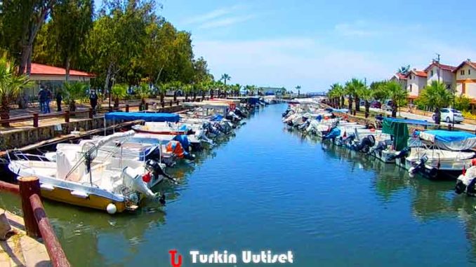 Davutlar, Kuşadası